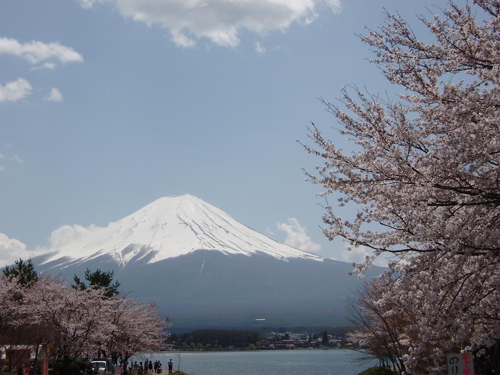 Villa Lupinus Kawaguchiko Fujikawaguchiko Esterno foto