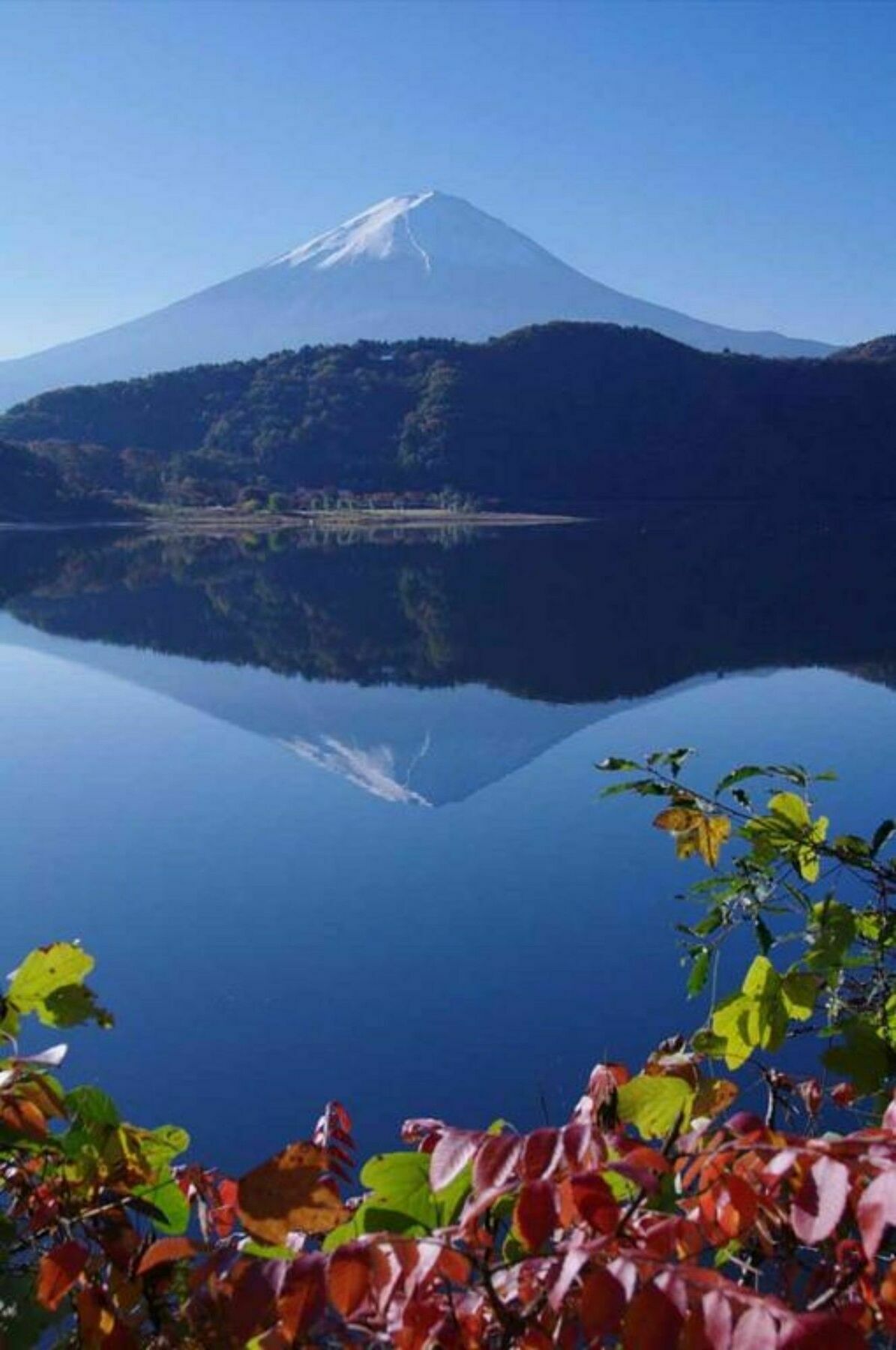 Villa Lupinus Kawaguchiko Fujikawaguchiko Esterno foto