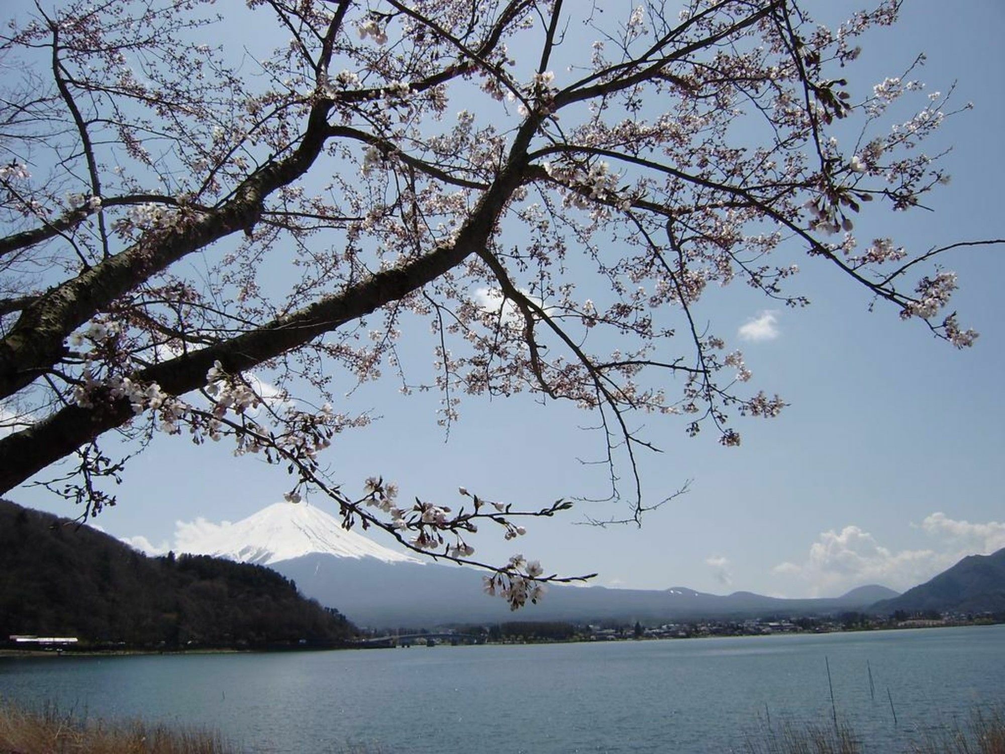 Villa Lupinus Kawaguchiko Fujikawaguchiko Esterno foto